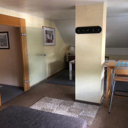 Ironico Homestay 4 Schlafzimmer Ferienwohnung 100 M2 Nahe Bostalsee Eisen  Esterno foto