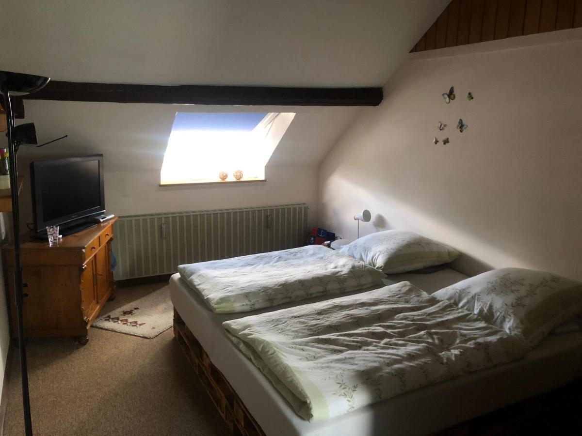 Ironico Homestay 4 Schlafzimmer Ferienwohnung 100 M2 Nahe Bostalsee Eisen  Esterno foto