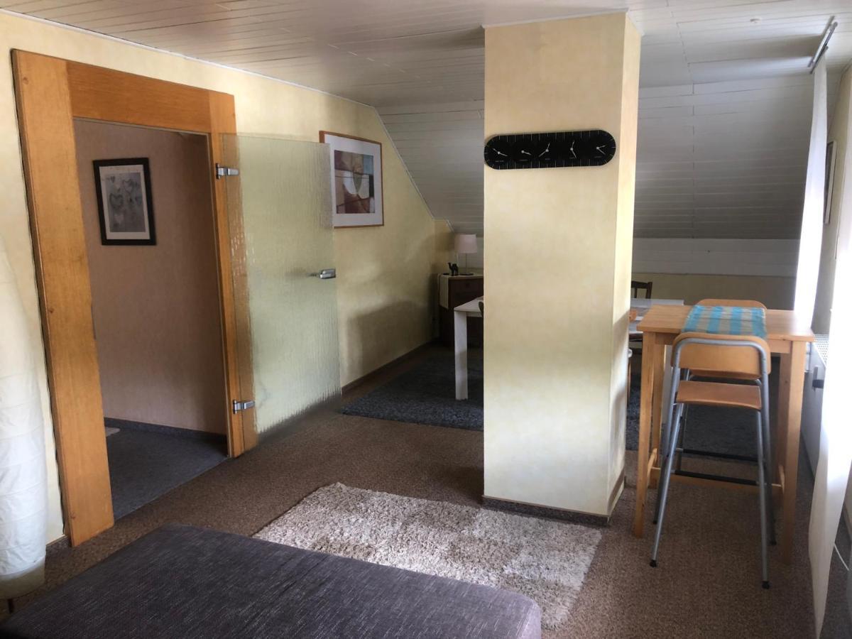 Ironico Homestay 4 Schlafzimmer Ferienwohnung 100 M2 Nahe Bostalsee Eisen  Esterno foto